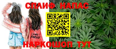 ешки Моздок