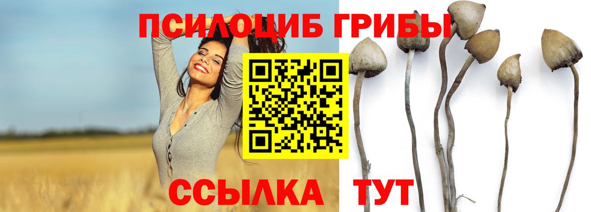 Галлюциногенные грибы GOLDEN TEACHER Усть-Илимск